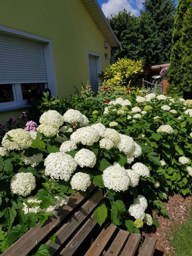 Ferienwohnung Lotte Nuthe-Urstromtal Екстериор снимка
